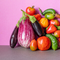 Healthy vegetarian food organic vegetables still life concept. Farm aubergine eggplants, tomatoes of various grade, bell peppers, carrot and cucumber on a pink gray background