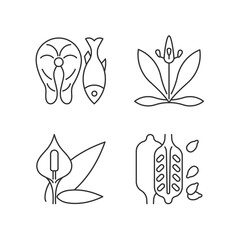 Common allergens linear icons set. Fish as cause for allergy. English plantain. Peace lily. Sesame seeds. Customizable thin line contour symbols. Isolated vector outline illustrations. Editable stroke