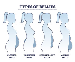 Types of bellies with abdominal fat problem in stomach area outline diagram