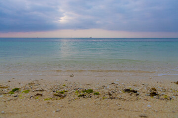 海