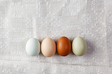 Colorful organic eggs natural colors of different breeds of chickens lie in a row.
