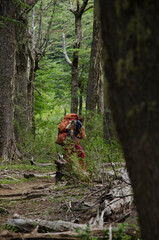 backpacker trekking in the middle of the forest