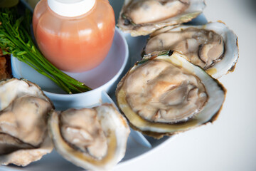 Oysters