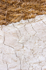 Background a fragment of a wall made of straw hay and dried clay, traditional rural house of historical times, handmade, copy space for text