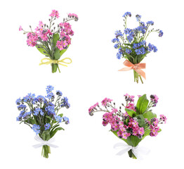 Set with beautiful tender forget me not flowers on white background