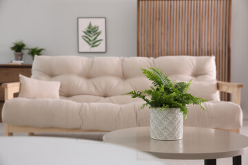 Beautiful potted fern on table in living room. Space for text