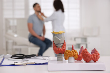 Doctor examining thyroid gland of patient in hospital, focus on organ models
