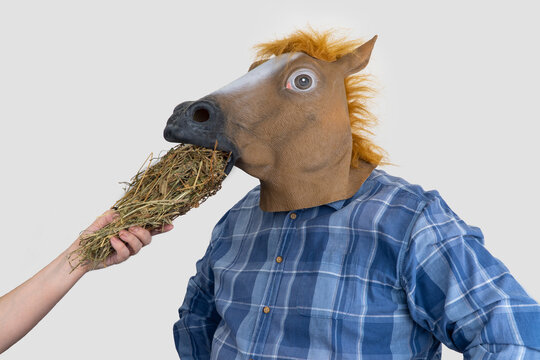 man in horse mask. woman feeds hay to a horse