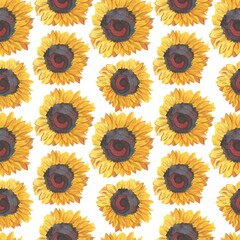 Seamless pattern with watercolor sunflowers.Summer,botanical print with large flowers in orange on white isolated hand painted background.Designs for textiles,fabric,wrapping paper,web,social media.