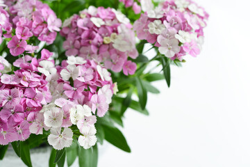 淡い色のなでしこの花