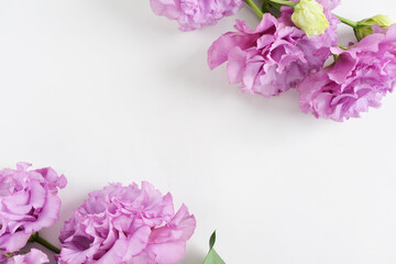 薄紫のトルコキキョウの花