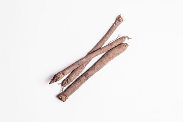 Raw Scorzonera or Spanish salsify isolated on white background