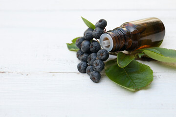Aronia melanocarpa, black-fruited mountain ash essential oil bottle on wooden background