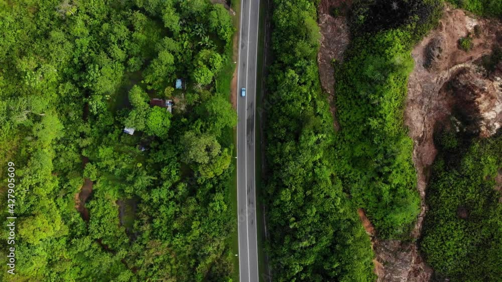 Wall mural Scenic aerial view of a winding path in a forest