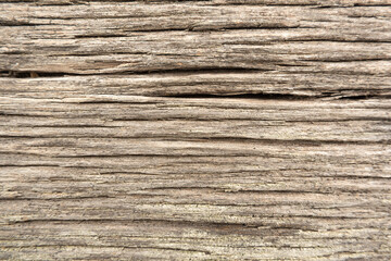 Fototapeta premium Wood grain texture pattern background structure oak wooden material natural surface dry hardwood tree wallpaper weathered abstract backdrop.