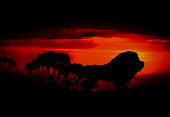 Fototapeta na wymiar Silhouettes of animal on golden cloudy sunset background. African wildlife background. Beauty in color and freedom.