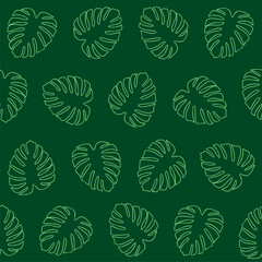 Vector seamless pattern of green monstera deliciosa leaves on a dark green background