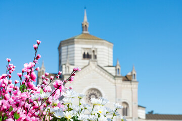 Pink flowers in the foreground. In the background the blurred facade of the famous Cimitero Monumentale (meaning: Monumental Cemetery) in Milan, Italy.