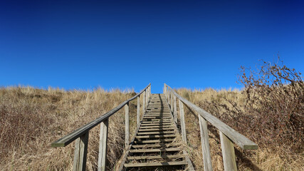 Fototapeta premium wooden stairs to the beach