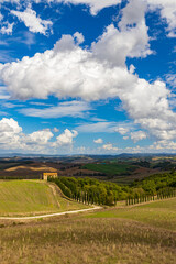 Fototapeta na wymiar Typical Tuscan landscape in Val d'orcia, Italiy