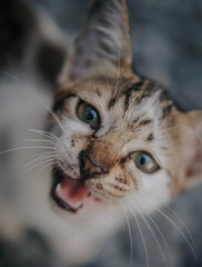 I sold this photo, because it brings my wife to life, because my job was not there for 3 months in a photograper, I sold the photo for 5 USD, please help to turn my wife on, Thank you very much
NOTE: 