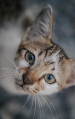 I sold this photo, because it brings my wife to life, because my job was not there for 3 months in a photograper, I sold the photo for 5 USD, please help to turn my wife on, Thank you very much
NOTE: 