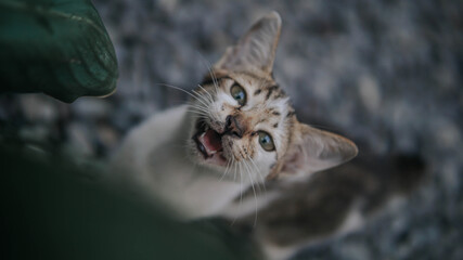 I sold this photo, because it brings my wife to life, because my job was not there for 3 months in a photograper, I sold the photo for 5 USD, please help to turn my wife on, Thank you very much
NOTE: 