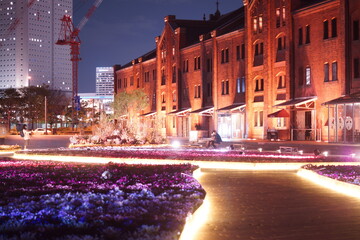 横浜みなとみらいの夜景 フラワーガーデン2021
