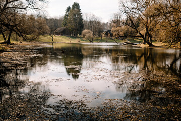 Fototapeta premium River among the trees in the spring or autumn season. Wildlife concept. Swamp in the forest. Wetlands are shrinking and threatened. The problem of ecology and drainage of rivers.