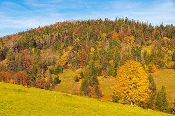 autumn landscape near saddle Beskyd in Slovakia