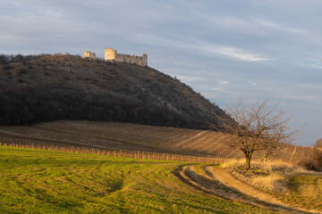 ruins of Devicky Castle with vineyards, Czech Republic