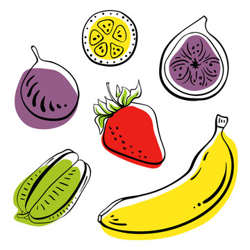 Banana, strawberry, fig, starfruit, passion fruit. Colorful line sketch collection of fruits and berries isolated on white background. Doodle hand drawn fruits. Vector illustration