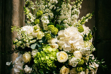 Obraz na płótnie Canvas Closeup assorted beautiful white flowers