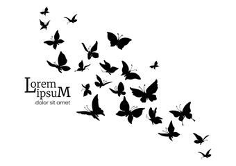 Plakat Decorative flock of butterflies. Logo design template. silhouettes of flying butterflies.