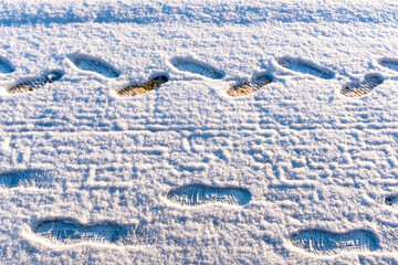 Lots of footprints in freshly fallen snow 