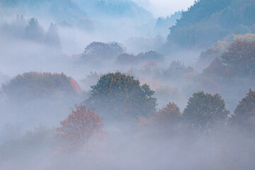 Autumn in the mountains. Fog and colorful leaves. Autumn sunrise.