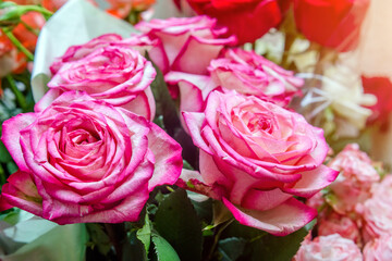 A bouquet of pink roses taken in close-up
