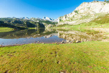 Fototapeta na wymiar views of the mountain lake of the national park peaks of europe