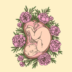 Baby in the womb and flowers. Engraving style. Vector illustration.