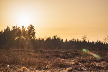 Coucher du soleil sur les Hautes-Fagnes et ses forêts