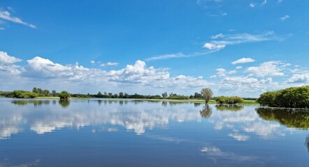 reflection of trees in water