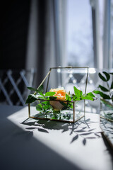 Fototapeta na wymiar glass boxes with metal edges and fresh flowers inside