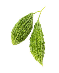 Bitter melon or Bitter gourd isolated on white background