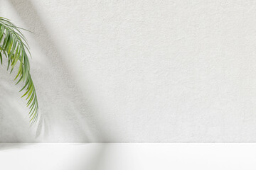 Tropical abstract background with white wall for display product