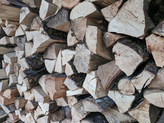 Preparation of firewood for the winter. firewood background, Stacks of firewood in the forest. Pile of firewood. logs of wood stacked with order
