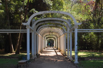 bridge in the park