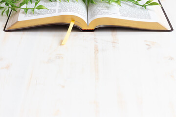Open bible border on white wood with green vine with copy space