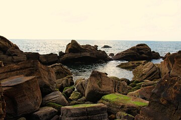seashore with mossy rocks and the horizon in the background