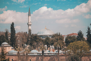 Naklejka premium mosque country