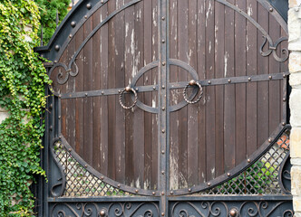 Brown iron gate with a forged pattern and a concrete fence overgrown with green vegetation on the street